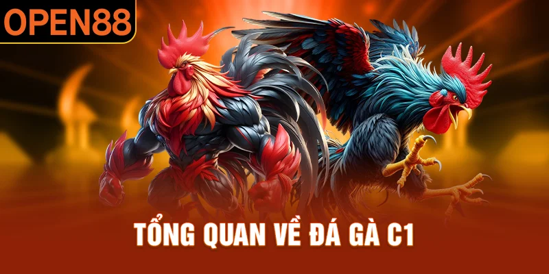 Tổng quan về đá gà C1