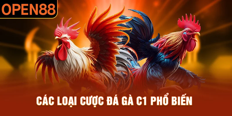 Thành viên được phép lựa chọn vô số hình thức cược độc quyền