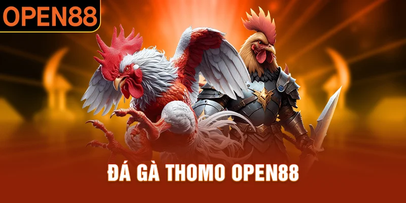 Đá gà thomo open88